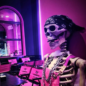 库洛战败cg踩原视频2023年
